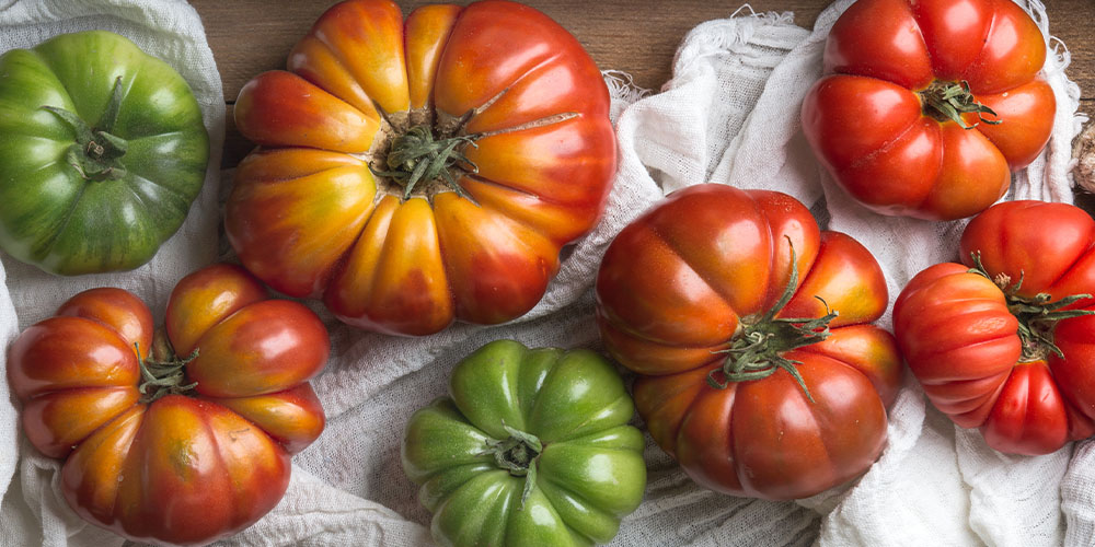 Windsor greenhouse - Tomato Varieties and What to do With Them-heirloom tomatoes
