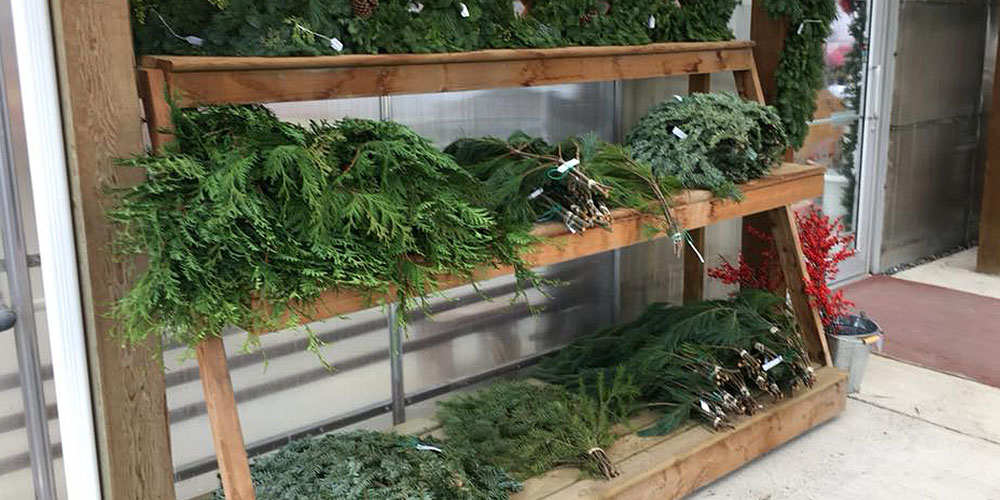 Windsor Greenhouse-Abbottsford-How To Care For Fresh Greenery-holiday greenery