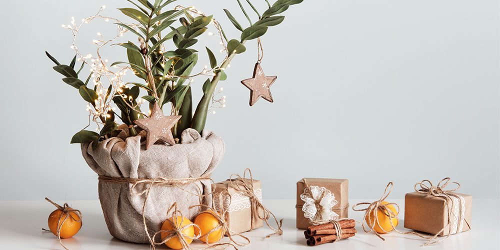 Windsor Greenhouse-Abbotsford-A Guide to Wrapping a Plant and Adding Fresh Greenery to Gifts-burlap wrapped plant